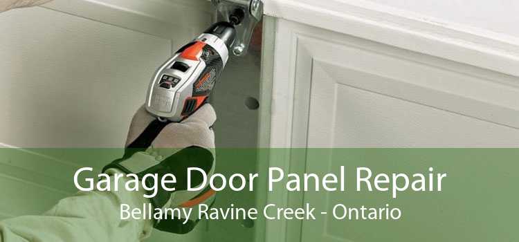 Garage Door Panel Repair Bellamy Ravine Creek - Ontario