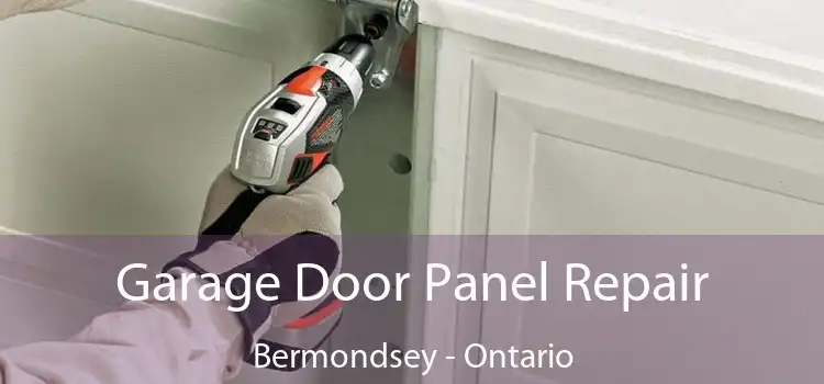 Garage Door Panel Repair Bermondsey - Ontario