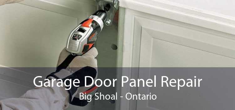 Garage Door Panel Repair Big Shoal - Ontario