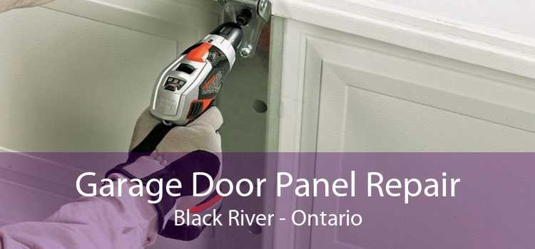 Garage Door Panel Repair Black River - Ontario