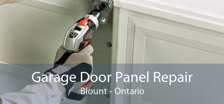 Garage Door Panel Repair Blount - Ontario