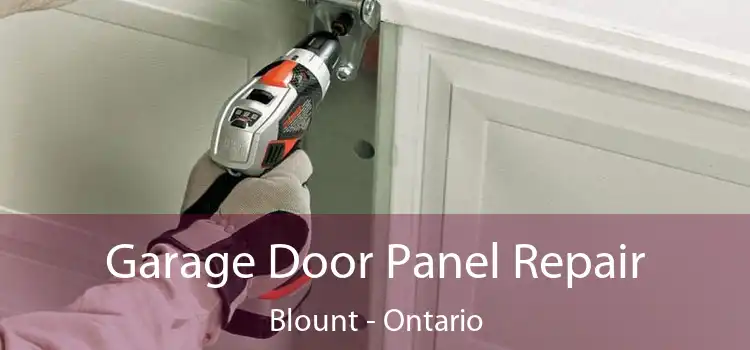 Garage Door Panel Repair Blount - Ontario