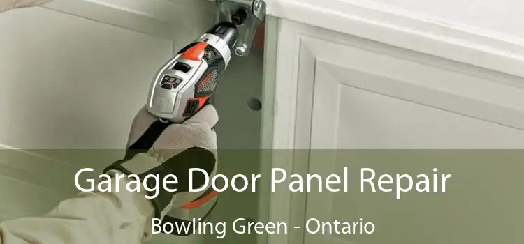 Garage Door Panel Repair Bowling Green - Ontario