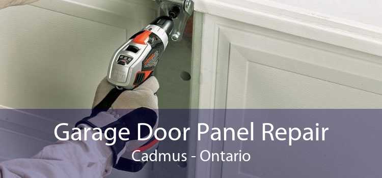 Garage Door Panel Repair Cadmus - Ontario