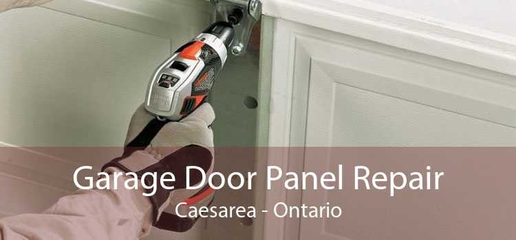 Garage Door Panel Repair Caesarea - Ontario