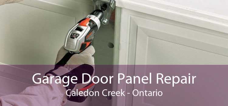 Garage Door Panel Repair Caledon Creek - Ontario