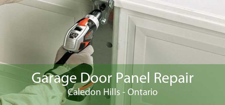 Garage Door Panel Repair Caledon Hills - Ontario