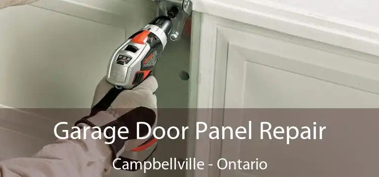 Garage Door Panel Repair Campbellville - Ontario