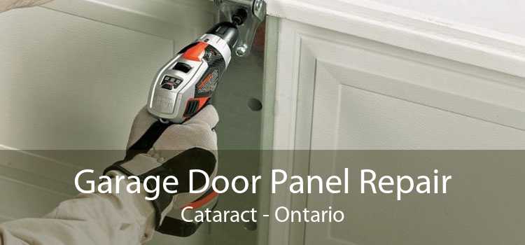 Garage Door Panel Repair Cataract - Ontario