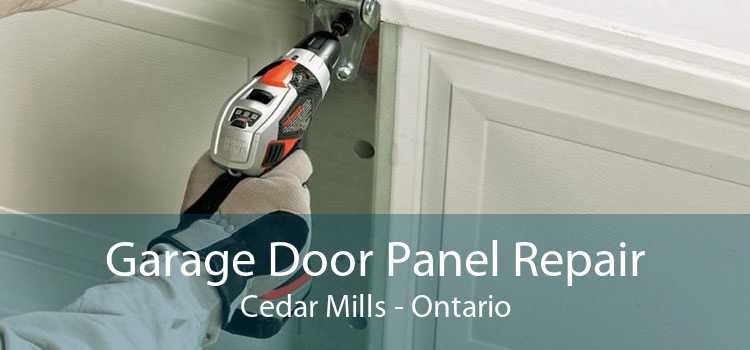 Garage Door Panel Repair Cedar Mills - Ontario