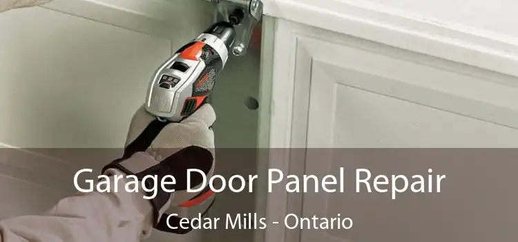 Garage Door Panel Repair Cedar Mills - Ontario