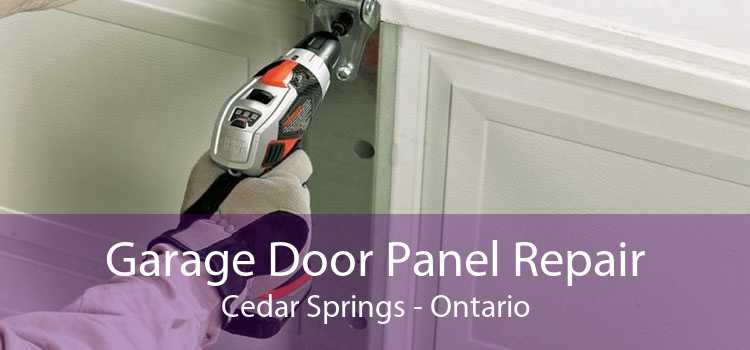 Garage Door Panel Repair Cedar Springs - Ontario