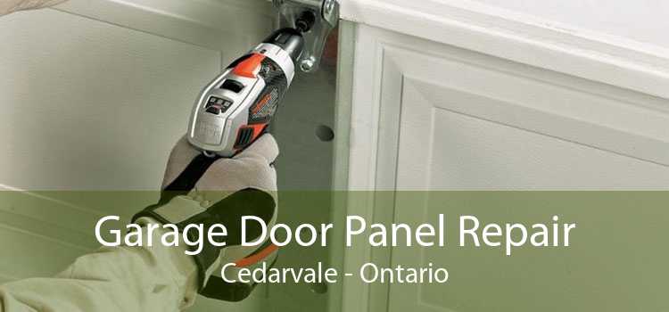 Garage Door Panel Repair Cedarvale - Ontario