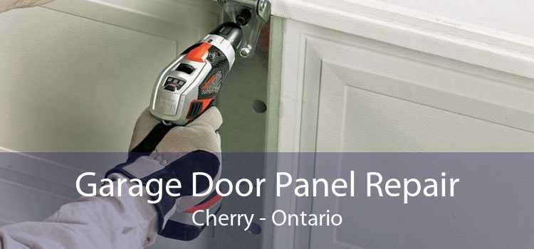 Garage Door Panel Repair Cherry - Ontario