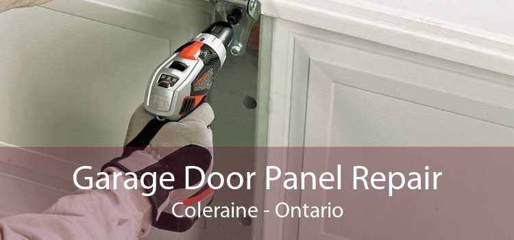 Garage Door Panel Repair Coleraine - Ontario