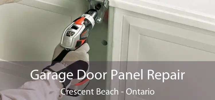Garage Door Panel Repair Crescent Beach - Ontario