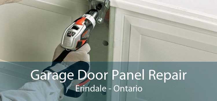 Garage Door Panel Repair Erindale - Ontario