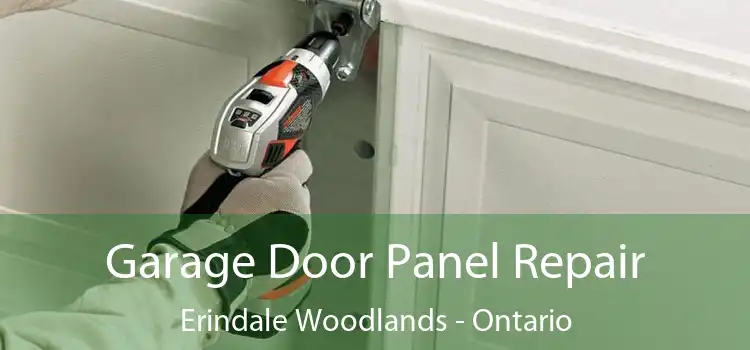 Garage Door Panel Repair Erindale Woodlands - Ontario