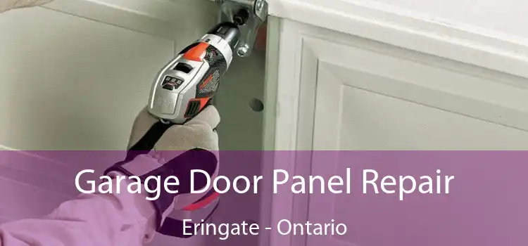 Garage Door Panel Repair Eringate - Ontario