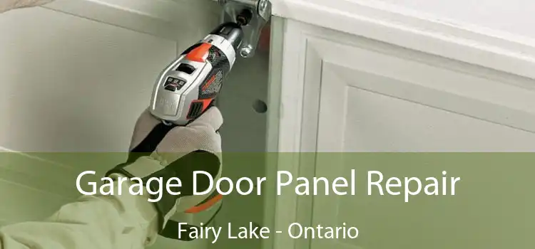 Garage Door Panel Repair Fairy Lake - Ontario