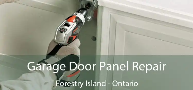 Garage Door Panel Repair Forestry Island - Ontario