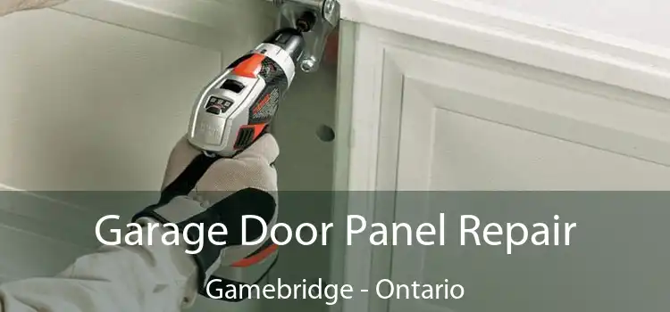 Garage Door Panel Repair Gamebridge - Ontario