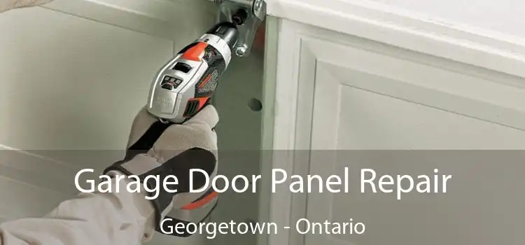 Garage Door Panel Repair Georgetown - Ontario