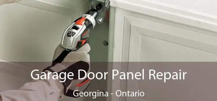 Garage Door Panel Repair Georgina - Ontario