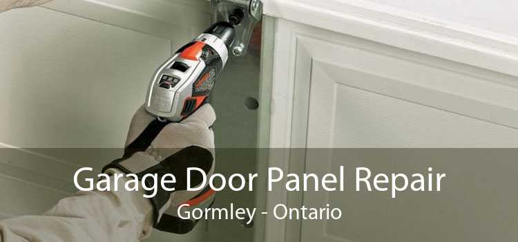 Garage Door Panel Repair Gormley - Ontario