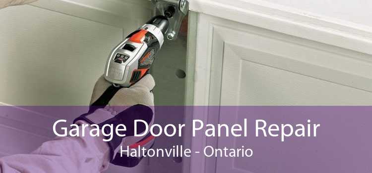 Garage Door Panel Repair Haltonville - Ontario