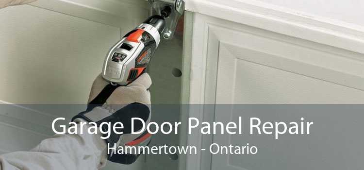 Garage Door Panel Repair Hammertown - Ontario