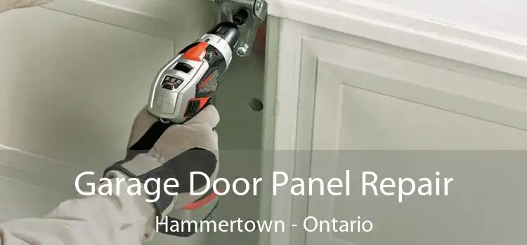 Garage Door Panel Repair Hammertown - Ontario