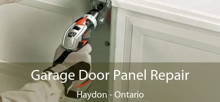 Garage Door Panel Repair Haydon - Ontario