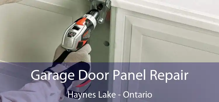 Garage Door Panel Repair Haynes Lake - Ontario