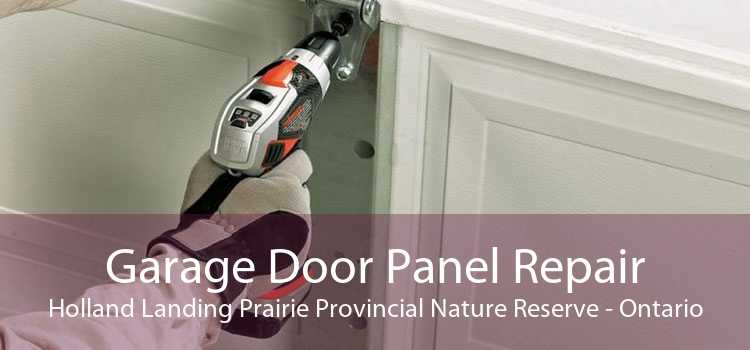 Garage Door Panel Repair Holland Landing Prairie Provincial Nature Reserve - Ontario