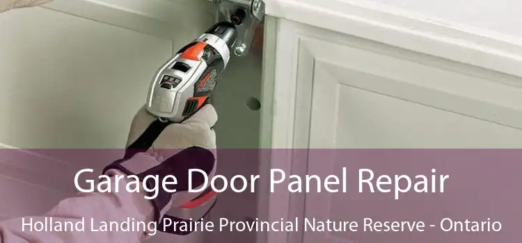 Garage Door Panel Repair Holland Landing Prairie Provincial Nature Reserve - Ontario