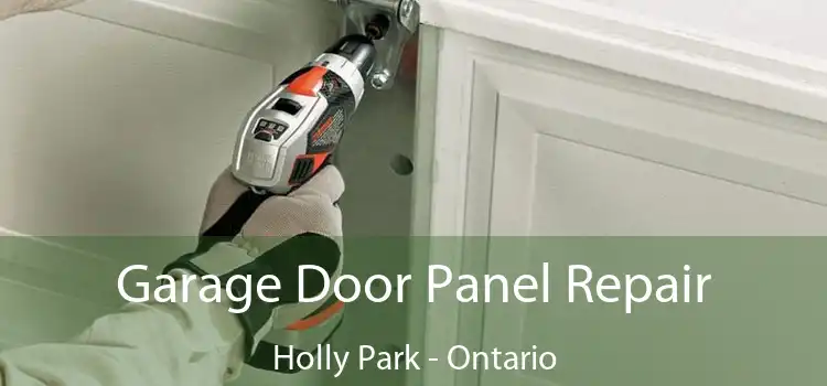 Garage Door Panel Repair Holly Park - Ontario