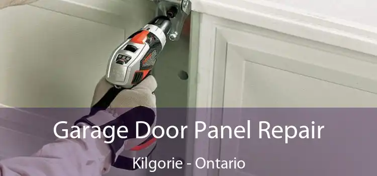 Garage Door Panel Repair Kilgorie - Ontario