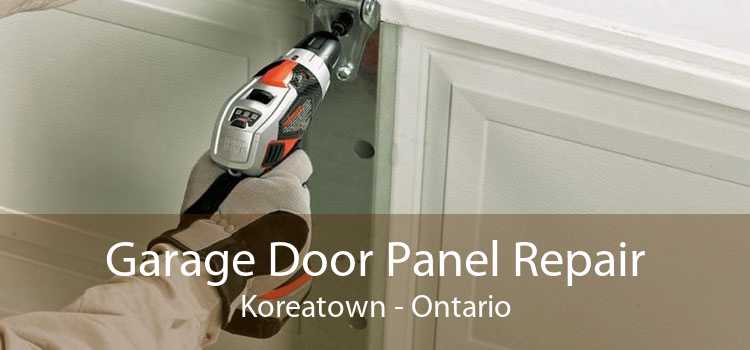 Garage Door Panel Repair Koreatown - Ontario