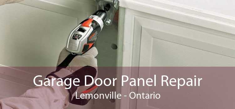 Garage Door Panel Repair Lemonville - Ontario