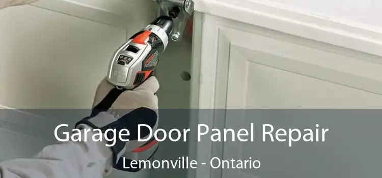 Garage Door Panel Repair Lemonville - Ontario