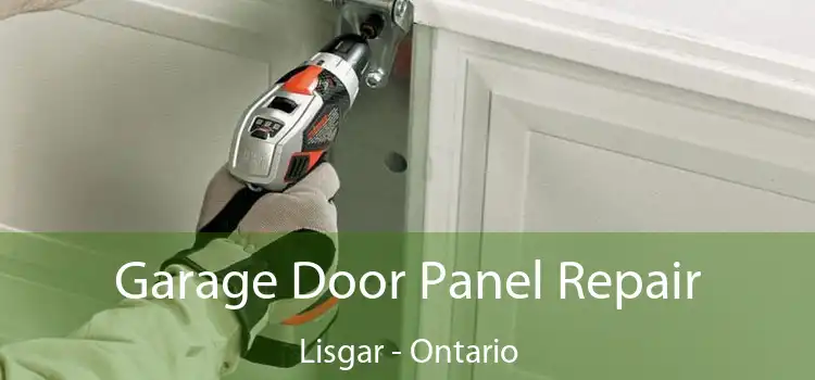 Garage Door Panel Repair Lisgar - Ontario
