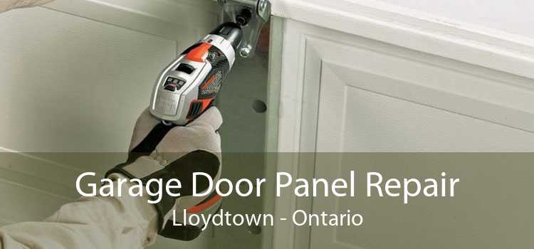 Garage Door Panel Repair Lloydtown - Ontario