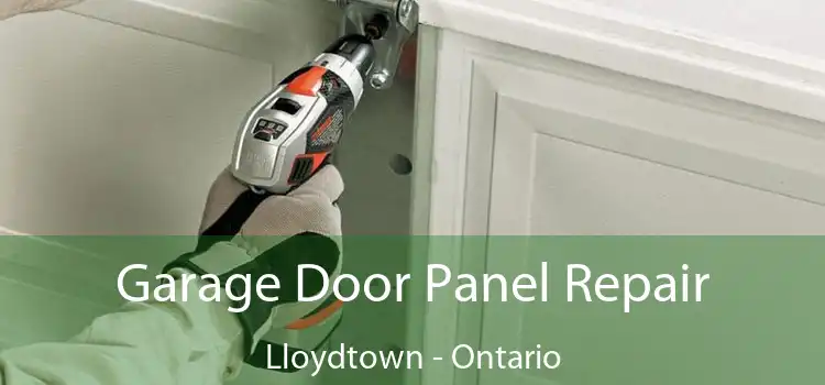 Garage Door Panel Repair Lloydtown - Ontario