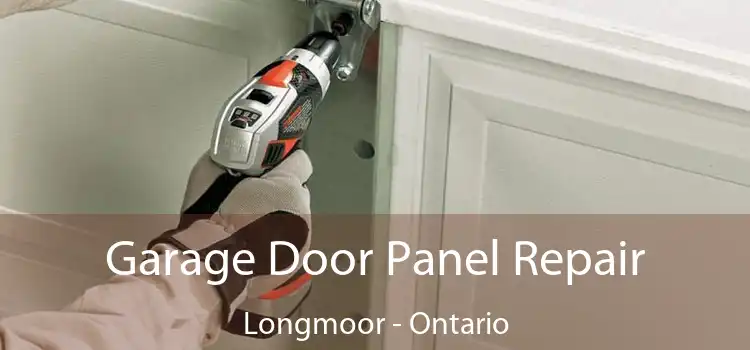 Garage Door Panel Repair Longmoor - Ontario