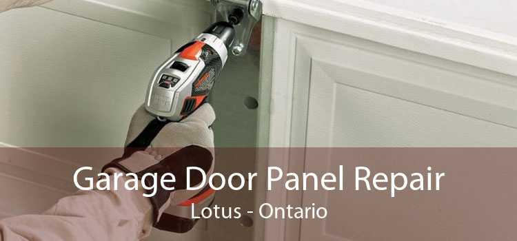 Garage Door Panel Repair Lotus - Ontario
