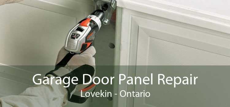 Garage Door Panel Repair Lovekin - Ontario