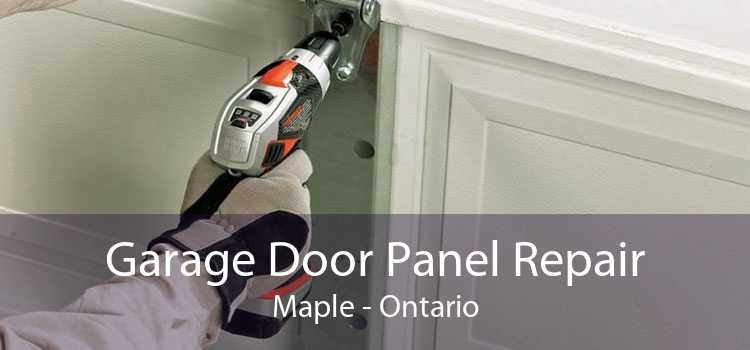 Garage Door Panel Repair Maple - Ontario