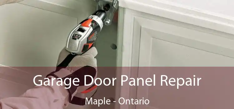 Garage Door Panel Repair Maple - Ontario