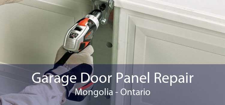 Garage Door Panel Repair Mongolia - Ontario
